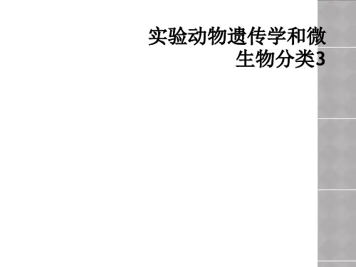 实验动物遗传学和微生物分类3