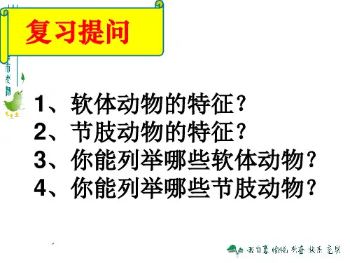 鱼课件教学文档