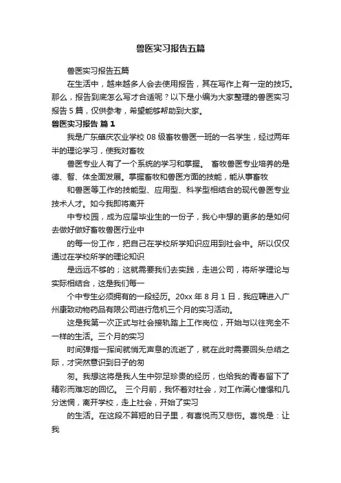 兽医实习报告五篇