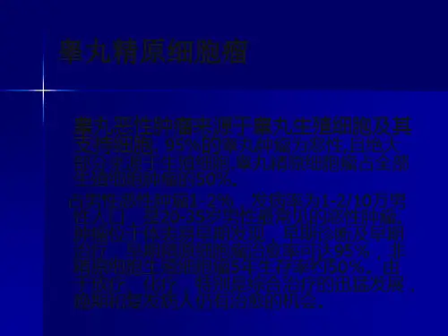 睾丸精原细胞瘤影像ppt课件
