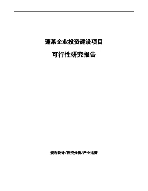 蓬莱如何编写项目可行性研究报告