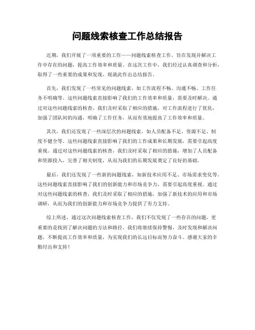 问题线索核查工作总结报告