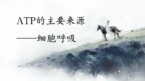 5.3 ATP的主要来源细胞呼吸 课件 人教版高中生物必修一
