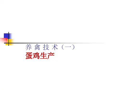 养禽技术(一)蛋鸡生产课件
