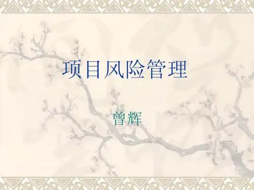 项目风险管理