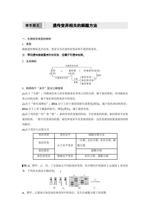 高中生物必修二 学习笔记 第5章 微专题五 遗传变异相关的解题方法