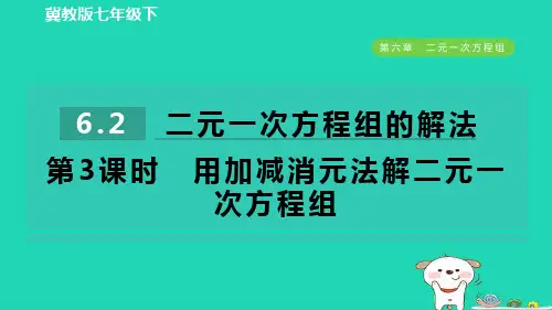 2024七年级数学下册第六章二元一次方程组6.2二元一次方程组的解法第3课时用加减消元法解二元一次方