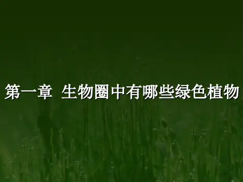初中生物生物圈中的绿色植物藻类植物