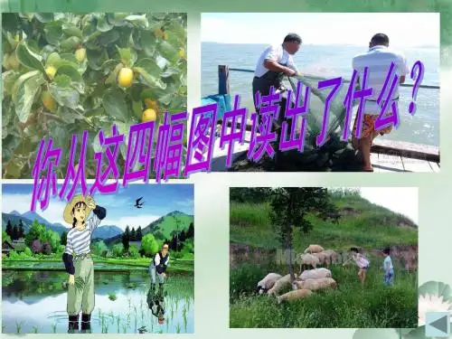 湘教版八年级下册地理第一章第一节农业