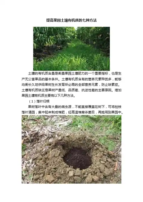 提高果园土壤有机质的七种方法