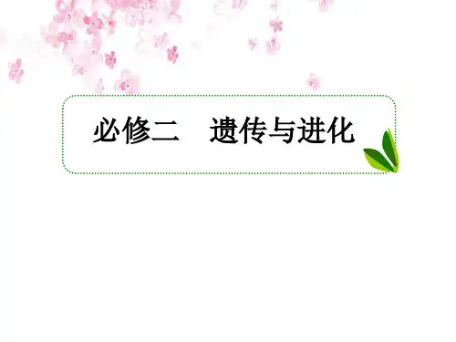高考一轮生物复习课件(人教版)第2讲 基因在染色体上与伴性遗传