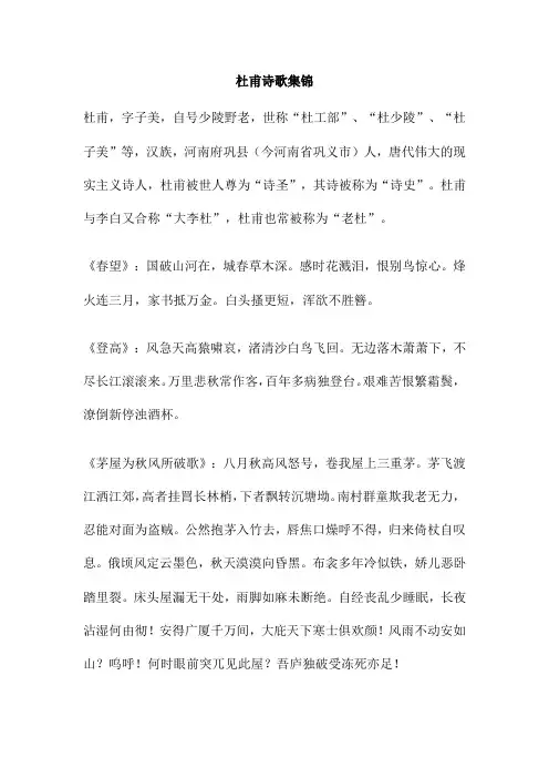 杜甫诗歌集锦 