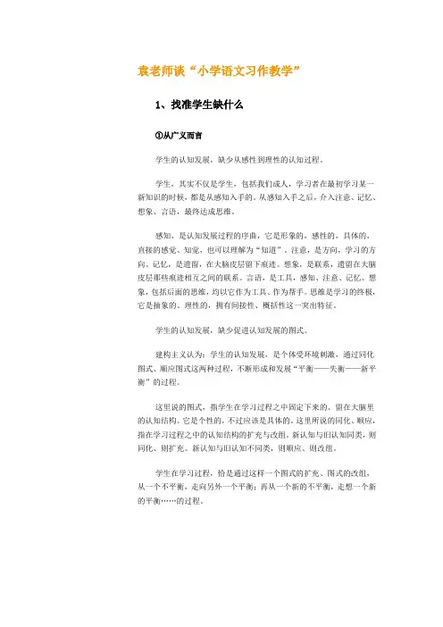 袁老师谈“小学语文习作教学”