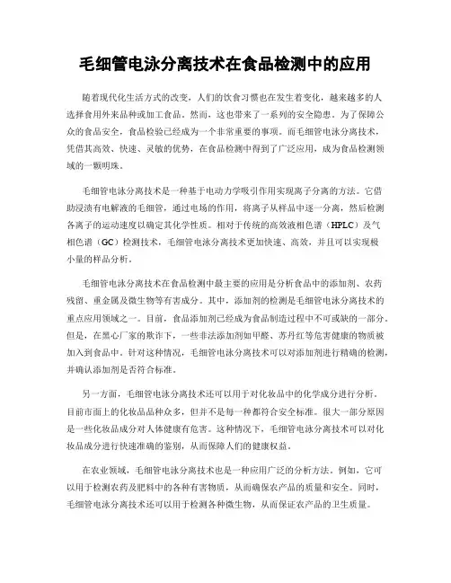 毛细管电泳分离技术在食品检测中的应用