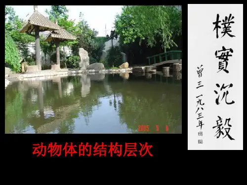 第二单元第三章第一节 动物体的结构层次PPT课件
