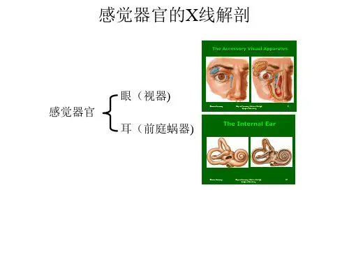 【影像诊断课件】感觉器官的X线解剖