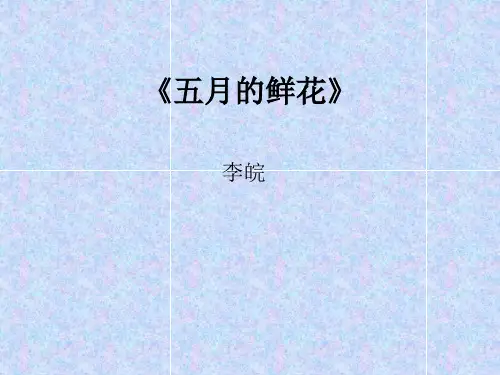 《五月的鲜花》