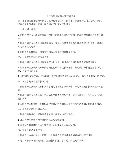 小学教师团支部工作计划范文