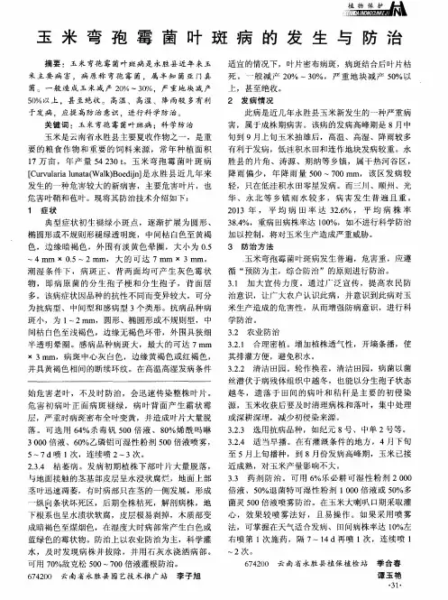 玉米弯孢霉菌叶斑病的发生与防治