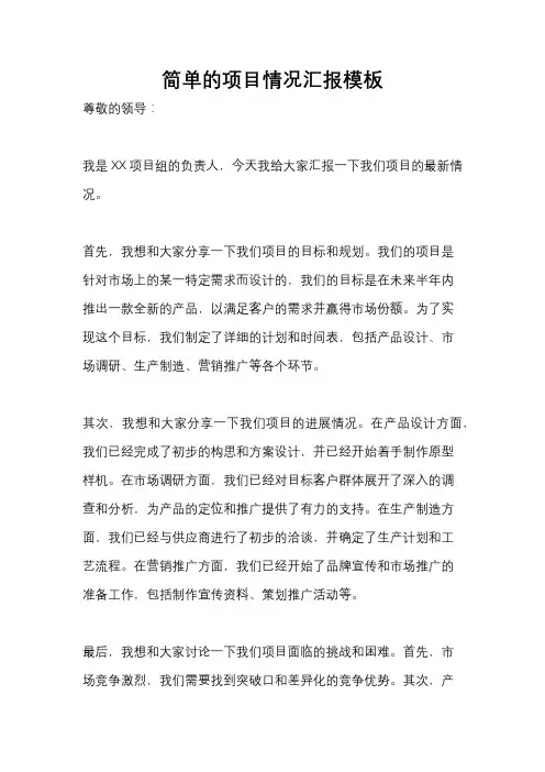 简单的项目情况汇报模板