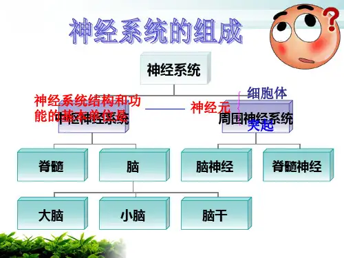 人体的神经调节的基本方式