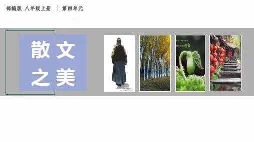 《昆明的雨》ppt课件