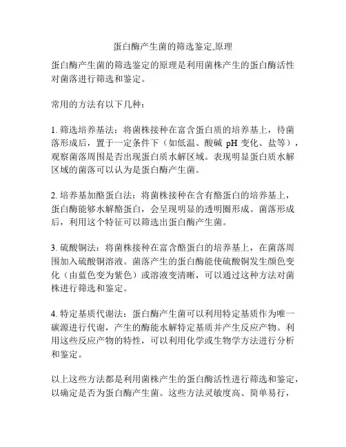 蛋白酶产生菌的筛选鉴定,原理
