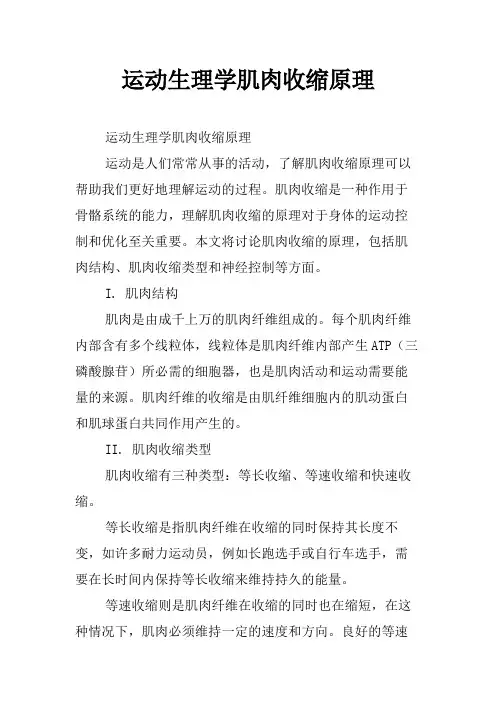 运动生理学肌肉收缩原理