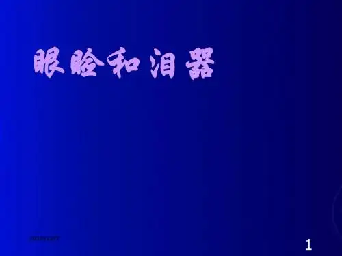 眼睑和泪器ppt课件