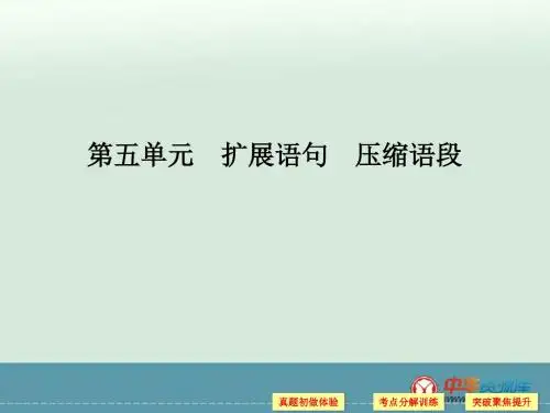 2017届高考语文一轮复习课件：第1部分 语言文字运用 第5单元 扩展语句 压缩语段
