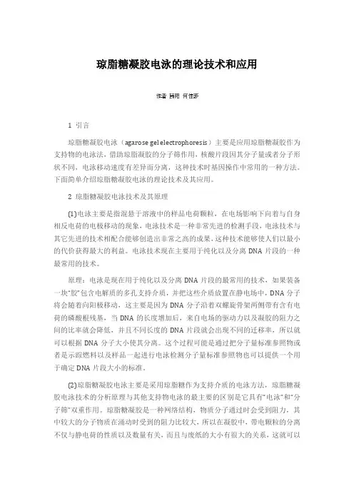 琼脂糖凝胶电泳的理论技术和应用