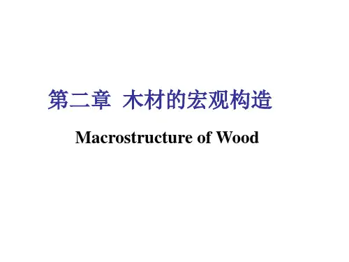 2第二章---木材宏观构造幻灯片1：三切面到早晚材解析