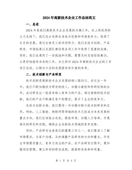 2024年高新技术企业工作总结范文