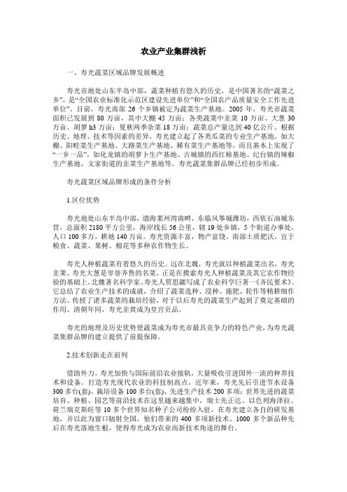 农业产业集群浅析