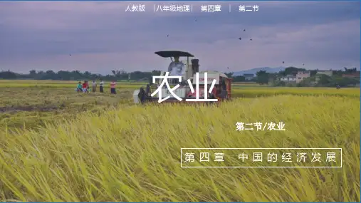 4.2农业(课件21张)-人教版地理八年级上册