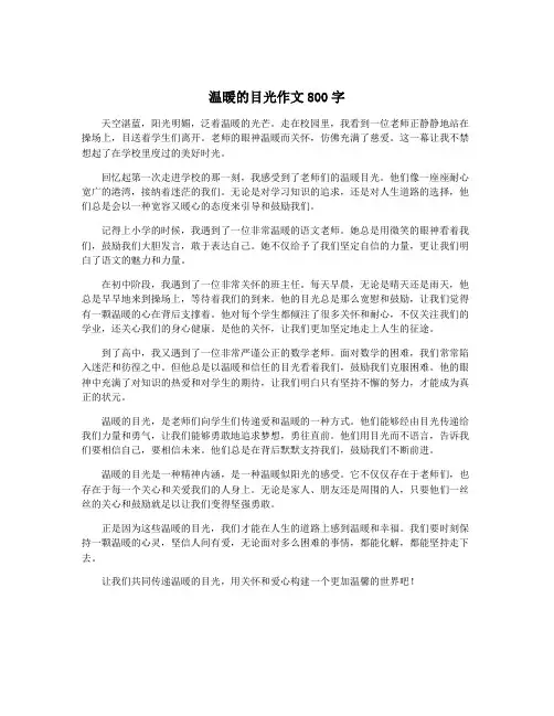 温暖的目光作文800字