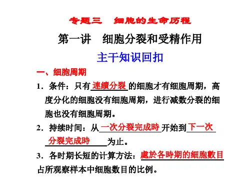 人教版高中生物课件-细胞分裂和受精作用