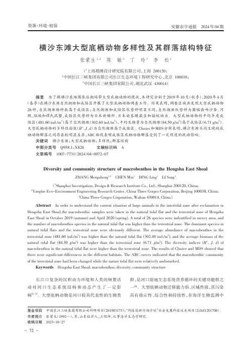 横沙东滩大型底栖动物多样性及其群落结构特征