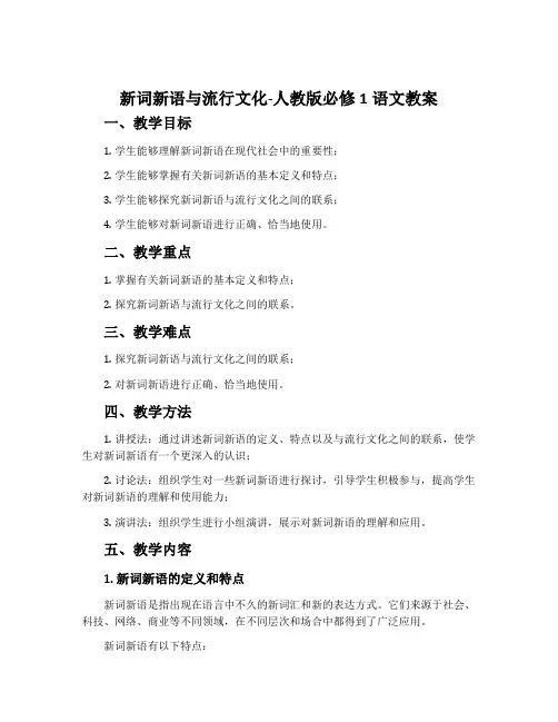 新词新语与流行文化-人教版必修1语文教案