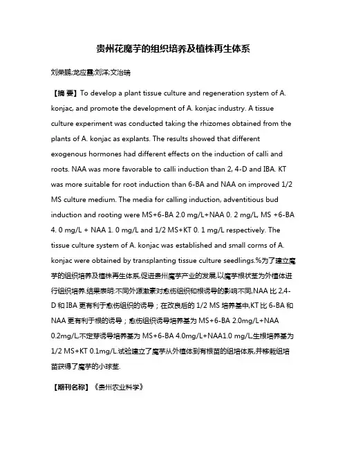 贵州花魔芋的组织培养及植株再生体系