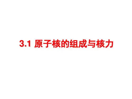 原子核的组成与核力