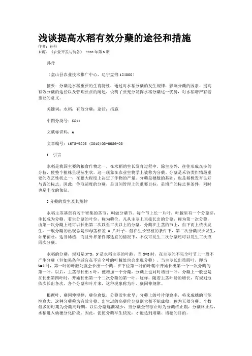 浅谈提高水稻有效分蘖的途径和措施