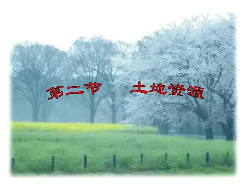 《中国的土地资源》课件