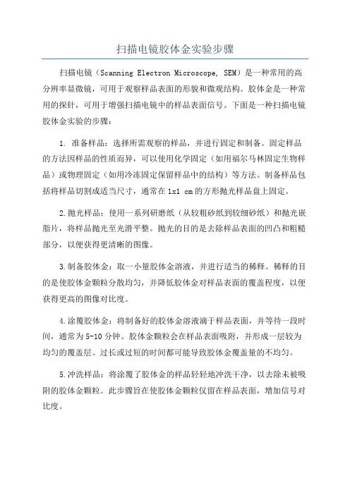 扫描电镜胶体金实验步骤