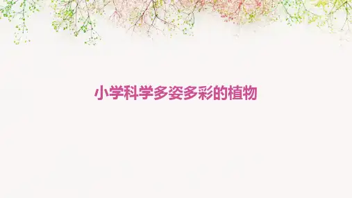 小学科学多姿多彩的植物课件ppt