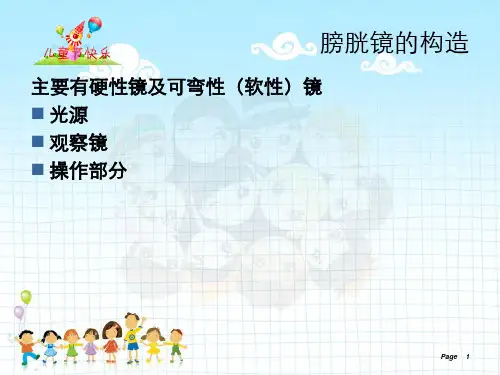 膀胱镜检查及手术护理(1)