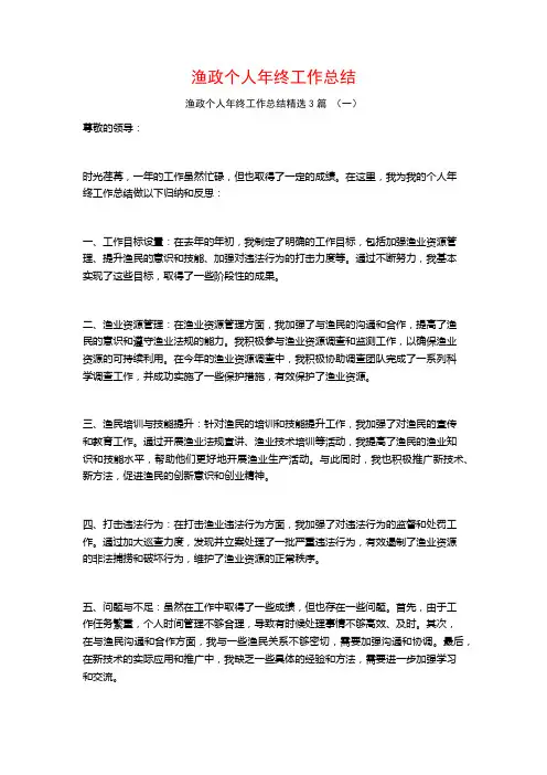 渔政个人年终工作总结3篇
