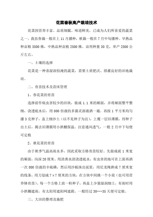 花菜春秋高产栽培技术