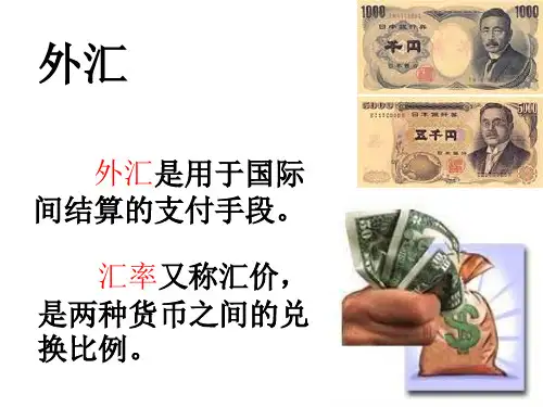 高一政治外汇和汇率变动的影响(课堂PPT)