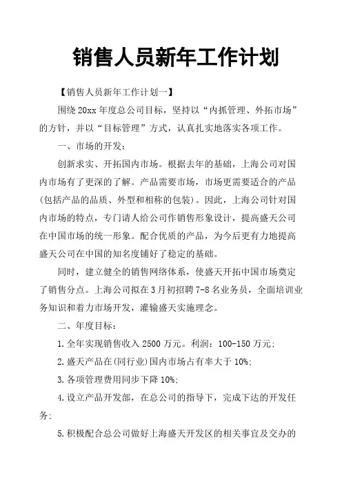 销售人员新年工作计划